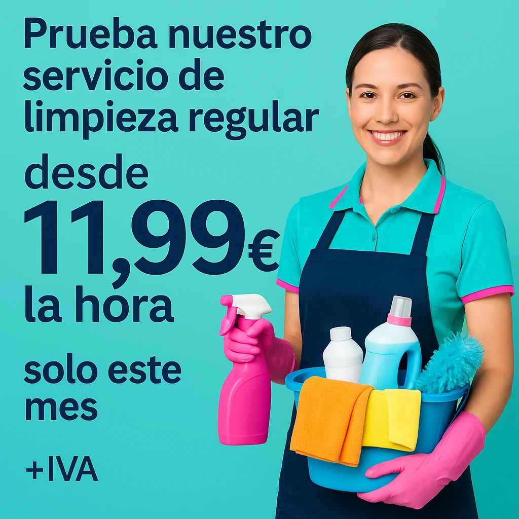 flyer limpieza regular 3