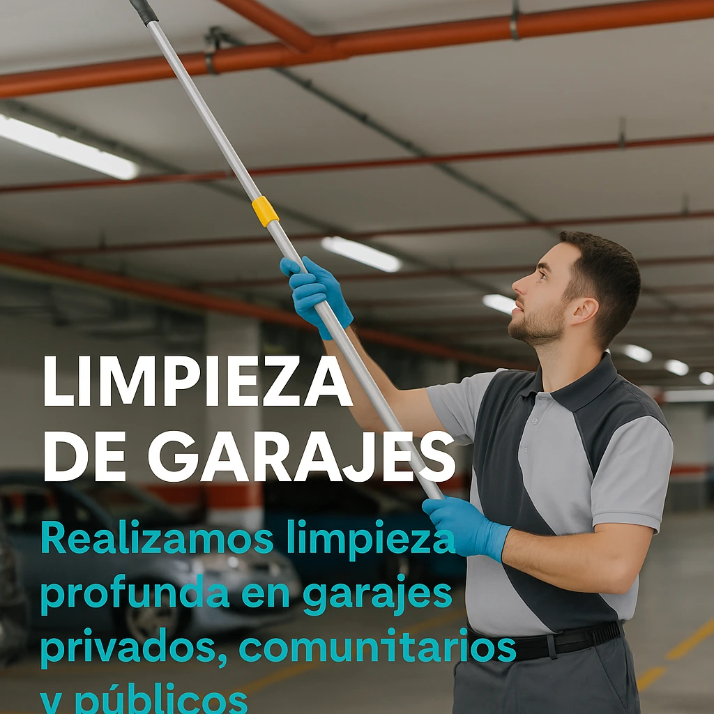 limpieza garaje techos